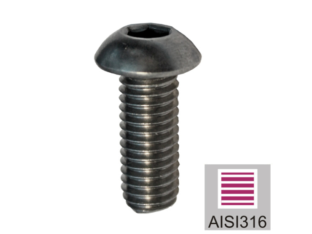 Stainless steel screw, half round head, M8x20mm